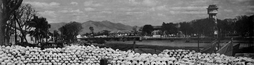 Câu chuyện nước mắm Tĩn