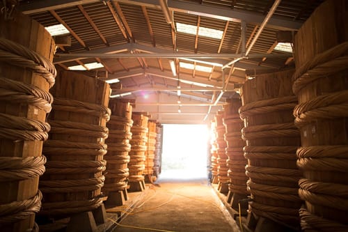 Bảo tàng nước mắm